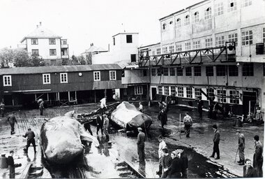 Finnøy Bryggehotell