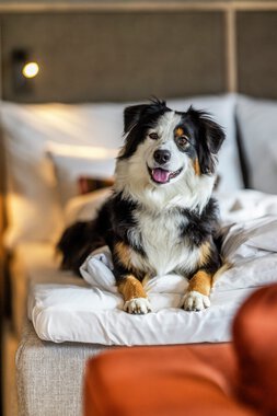 Henningsvær Bryggehotell