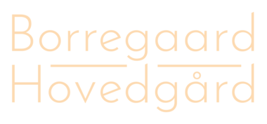 Borregaard Hovedgård