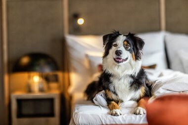 Henningsvær Bryggehotell