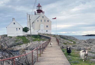 Gjester ved Lyngør fyr