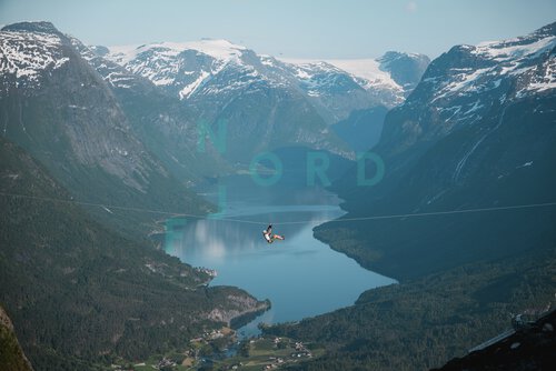 image-description