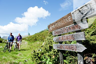Sykkeltur ved Syndin, Valdres