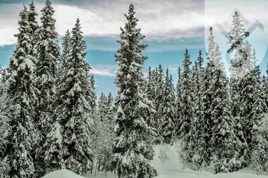 Vinterstemning i Valdres