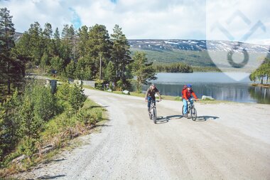 Sykkel ved Lesjaskogsvatnet