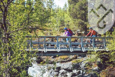 Sykkel ved Grønfossen Lesja