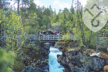 Sykkel ved Grønfossen Lesja