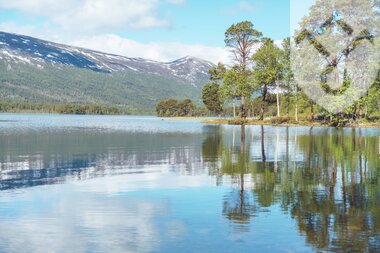 Lesjaskogsvatnet i Lesja