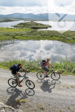 Sykling langs Jotunheimvegen i Valdres