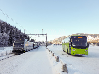 Buss og tog til Hemsedal