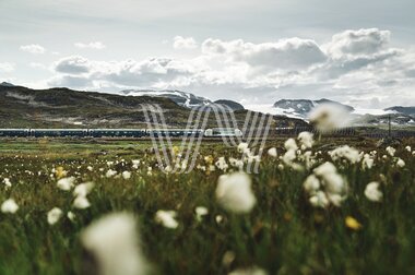 Bergensbanen og myrull