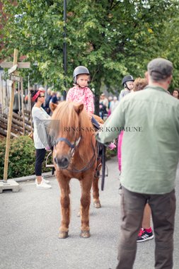 InnlandsMarkedet 2018