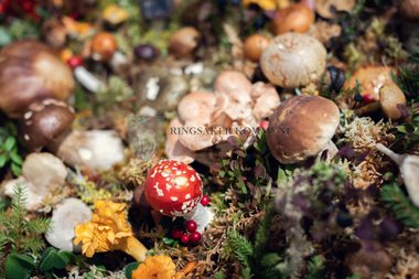 InnlandsMarkedet 2018