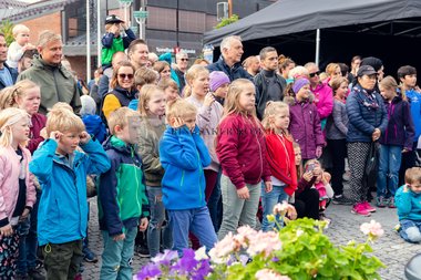Skaperfest i Ringsaker 2018
