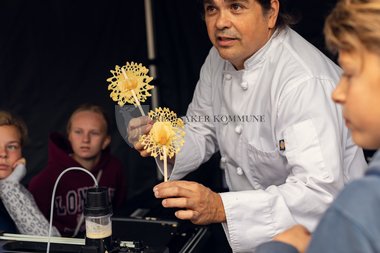 Skaperfest i Ringsaker 2018