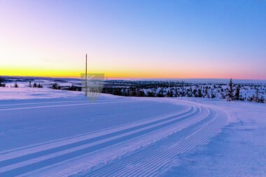 Skiløyper Sjusjøen 