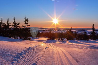 Skiløyper Sjusjøen 