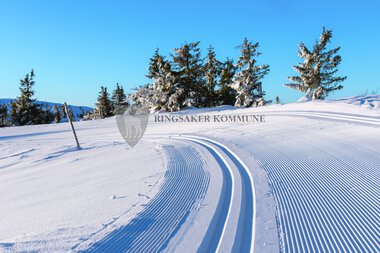 Skiløyper Sjusjøen 