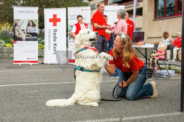 Frivillighetsfestivalen 2025