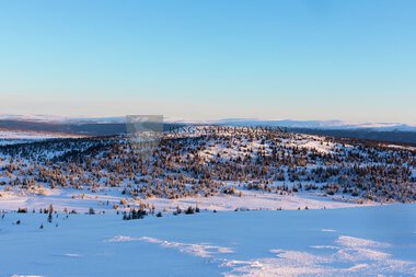 Skiløyper Sjusjøen 