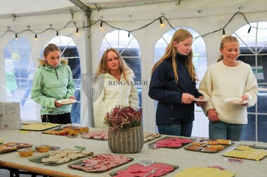 Innlandsmarkedet 2025