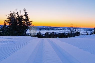 Skiløyper Sjusjøen 