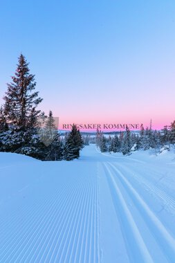 Skiløyper Sjusjøen 