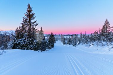 Skiløyper Sjusjøen 