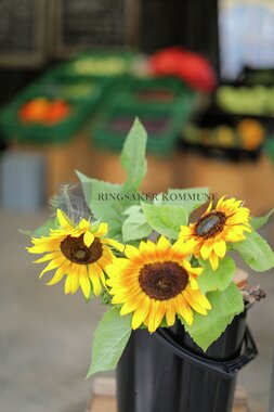 Innlandsmarkedet 2025