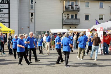 Frivillighetsfestivalen 2025