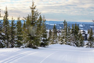 Hytteområdet Birkebeinerbakken  Panorama Sjusjøen