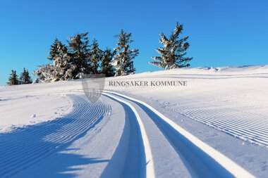 Skiløyper Sjusjøen 