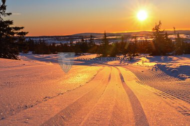 Skiløyper Sjusjøen 