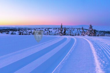 Skiløyper Sjusjøen 
