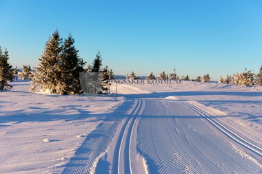 Skiløyper Sjusjøen 