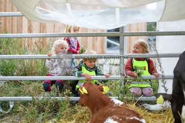 Innlandsmarkedet 2025