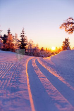 Skiløyper Sjusjøen 