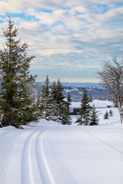 Hytteområdet Birkebeinerbakken  Panorama Sjusjøen