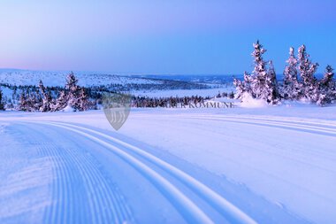 Skiløyper Sjusjøen 