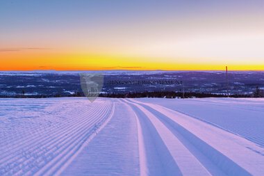 Skiløyper Sjusjøen 