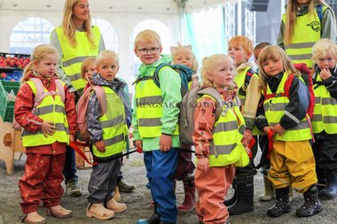 Innlandsmarkedet 2025