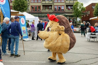 Frivillighetsfestivalen 2025