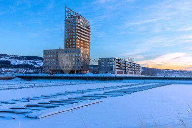 Mjøstårnet Wood Hotel 