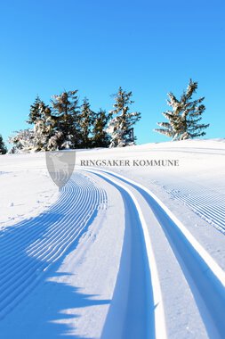 Skiløyper Sjusjøen 