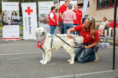 Frivillighetsfestivalen 2025