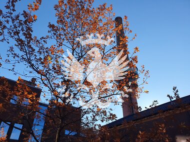 Nestle-bygget i Hamar