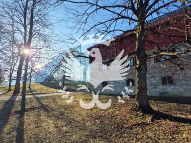 Domkirkeodden, Mjøsa