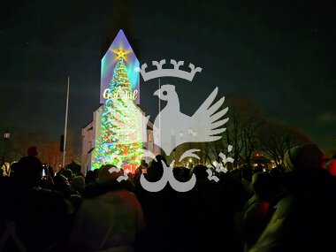 Julevideo på Hamar domkirke