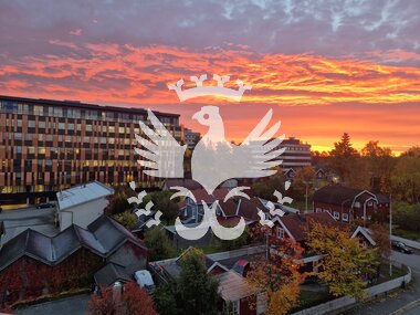 Utsikt over Hamar by fra rådhustaket