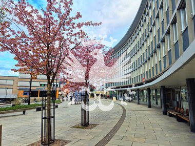 Triangelgården i Hamar sentrum